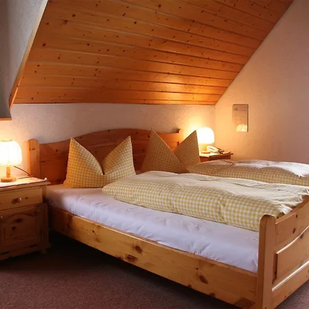 Schweizerhof 招待所 3*