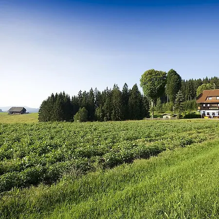 Konukevi Schweizerhof