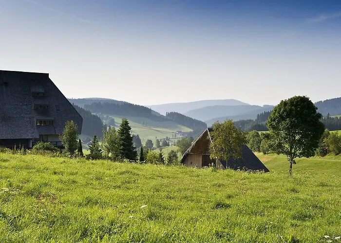 Πανσιόν Schweizerhof 3*