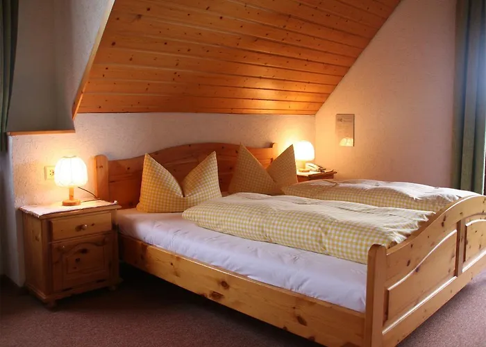 Schweizerhof 招待所 3*