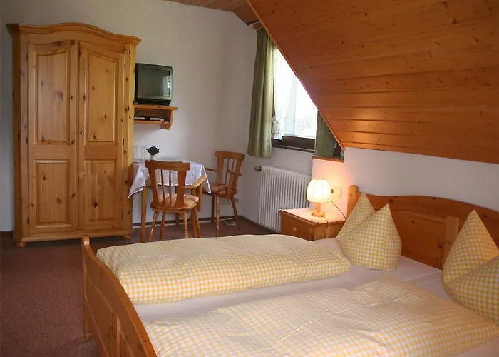 Πανσιόν Schweizerhof 3*